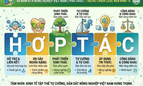 Nhà báo Vương Xuân Nguyên giải mã tinh thần “Hợp tác”