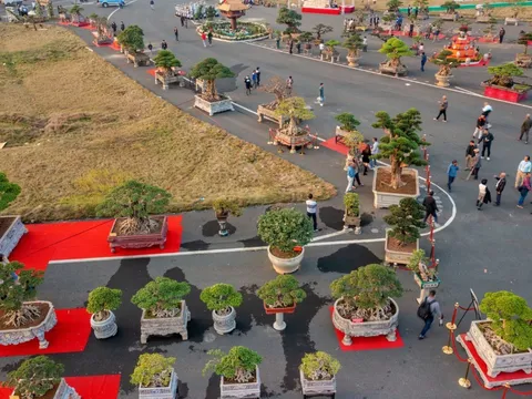 Liên hoan Sinh Vật Cảnh Thủ đô 2024